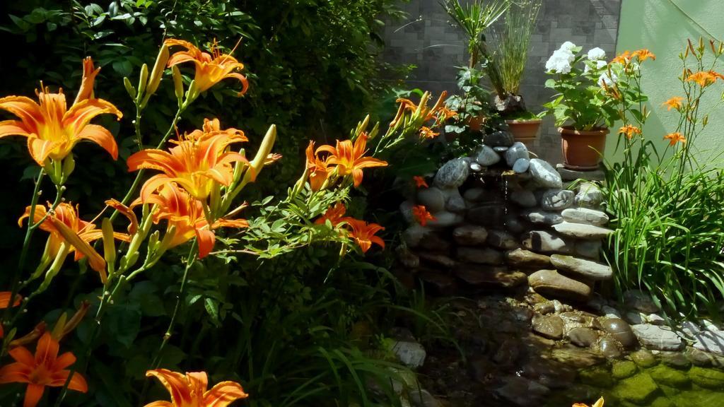 Kruja Hotel 티라나 외부 사진